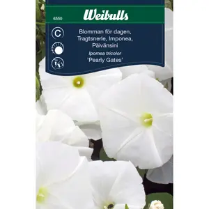 Blomman för dagen, Pearly Gates