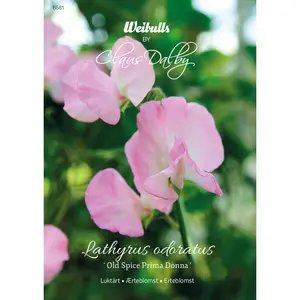 Luktärt, Old Spice Prima Donna