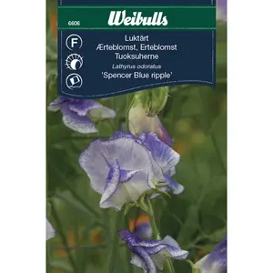 Luktärt, Spencer Blue ripple