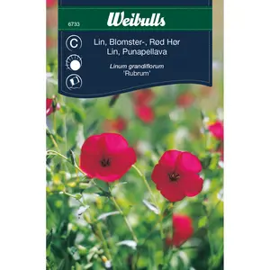 Blomsterlin, Rubrum