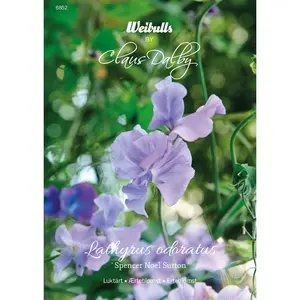 Luktärt, Spencer Noel Sutton