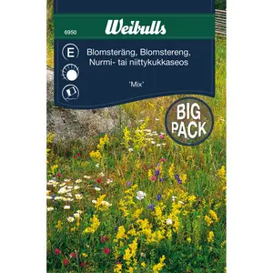 Blomsterängsblandning 12m2, storpåse