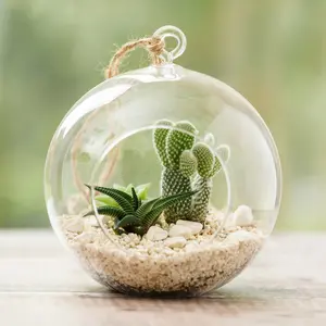 Växtterrarium glas, Glob