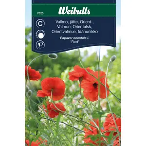 Jättevallmo, Orient röd