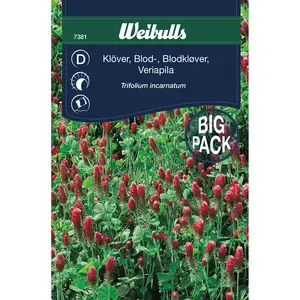 Blodklöver, storpåse 10 m2