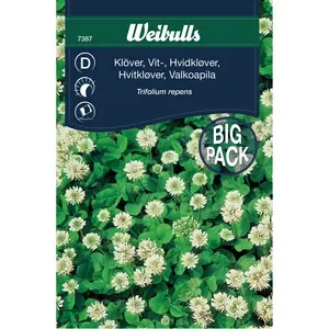 Vitklöver, storpåse 18 m2