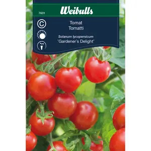 Coctailtomat, Gardener's Delight