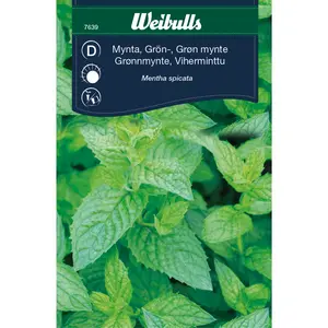 Grönmynta - OUTLET
