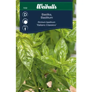 Basilika, Italiano Classico