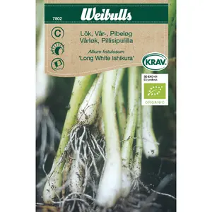 Piplök / Vårlök, Long White Ishikura KRAV