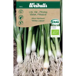 Piplök / Vårlök, White Lisbon KRAV