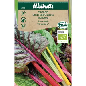 Mangold, Fireworks KRAV