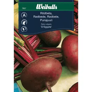 Rödbeta, D'Egypte