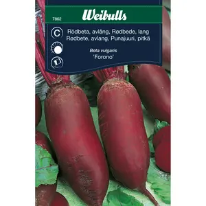 Rödbeta, Forono