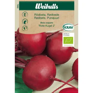 Rödbeta Rote Kugel 2, KRAV