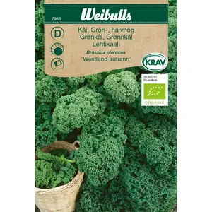 Grönkål, Westland autumn KRAV