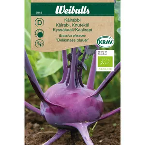 Kålrabbi, Delikatess blauer KRAV