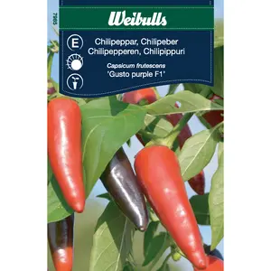 Chilipeppar, Gusto Purple F1