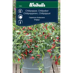 Chilipeppar, Pikito
