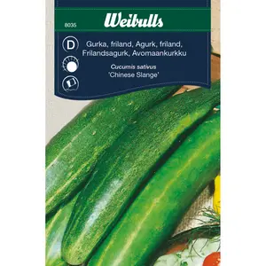 Frilandsgurka, Longo da China