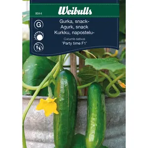 Snackgurka, Party time F1