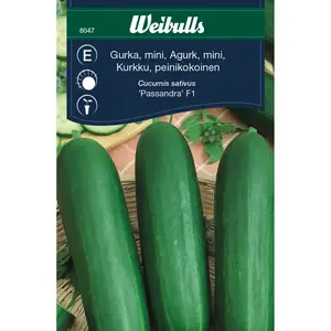 Växthusgurka, Passandra F1 mini