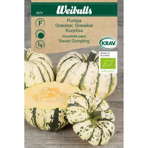 Pumpa, Sweet Dumpling KRAV