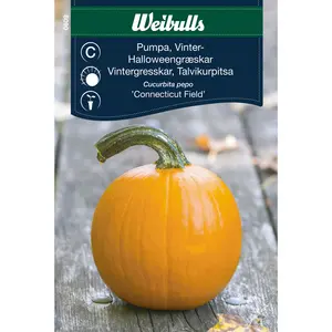 Halloweenpumpa, Connecticut Field