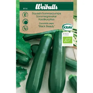 Squash, Black Beauty KRAV