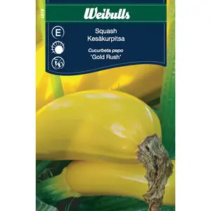 Squash, Gold Rush - OUTLET