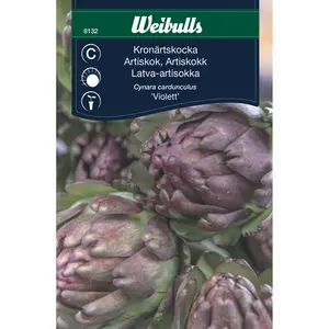 Kronärtskocka, Violett