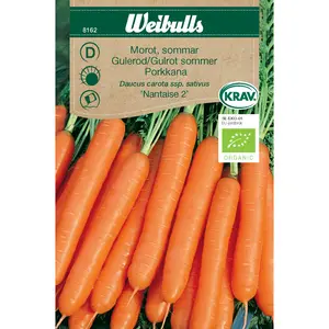 Morot, Nantaise 2 sommar KRAV