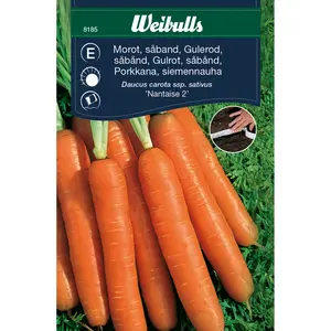 Morot, Nantaise 2 sommar såband