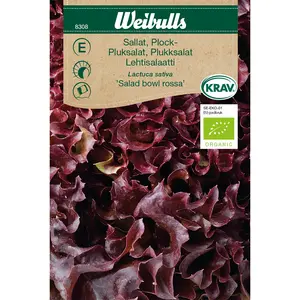 Plocksallat, Salad bowl rossa KRAV