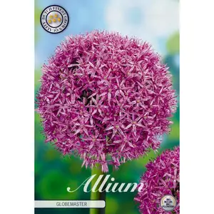 Jättelök, Globemaster 1 st