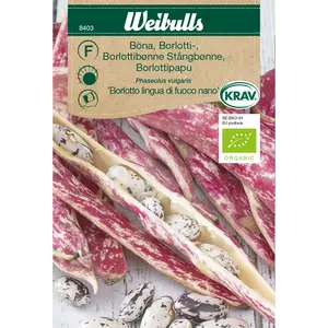 Borlottiböna, Borlotto lingua di fuoco nano KRAV