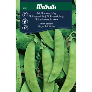 Sockerärt, Sugar Tall White hög