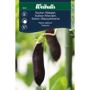 Sockerärt, Desirée låg