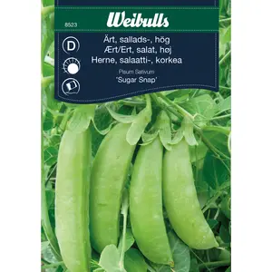 Salladsärt, Sugar Snap hög