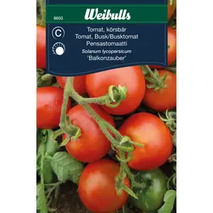 Busktomat, Balkonzauber