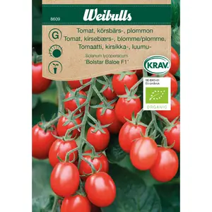 Körsbärstomat, Bolstar Baloe F1 KRAV
