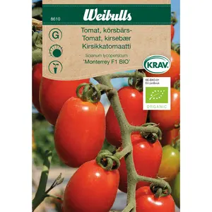 Körsbärstomat, Mont. Monterrey F1 KRAV