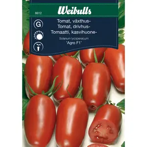 Växthustomat, Agro F1 - OUTLET