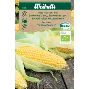 Sockermajs, Golden Bantam KRAV