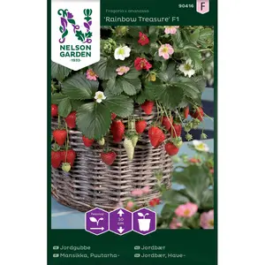 Jordgubbe, Rainbow Treasure F1