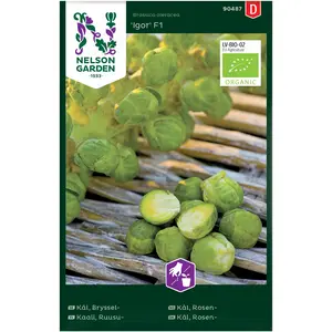 Brysselkål, Igor F1 Ekologisk