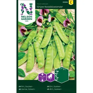 Sockerärt, Grijze Roodbloeiende