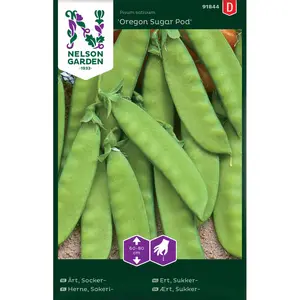 Sockerärt, Oregon Sugar Pod