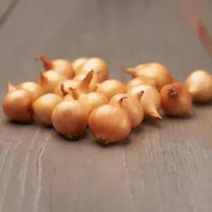 Sättlök, Stuttgarter Riesen gul 200 g