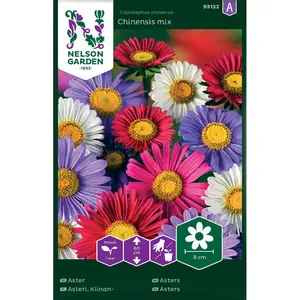 Aster, Enkelblom mix